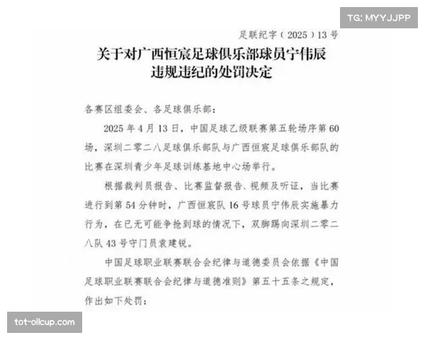 公安部、体育总局、中国足协联合处罚9家俱乐部历史违规行为